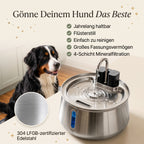 Sanftquelle – Trinkbrunnen für Hunde aus Edelstahl, kabellos