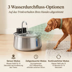 Sanftquelle – Trinkbrunnen für Hunde aus Edelstahl, kabellos