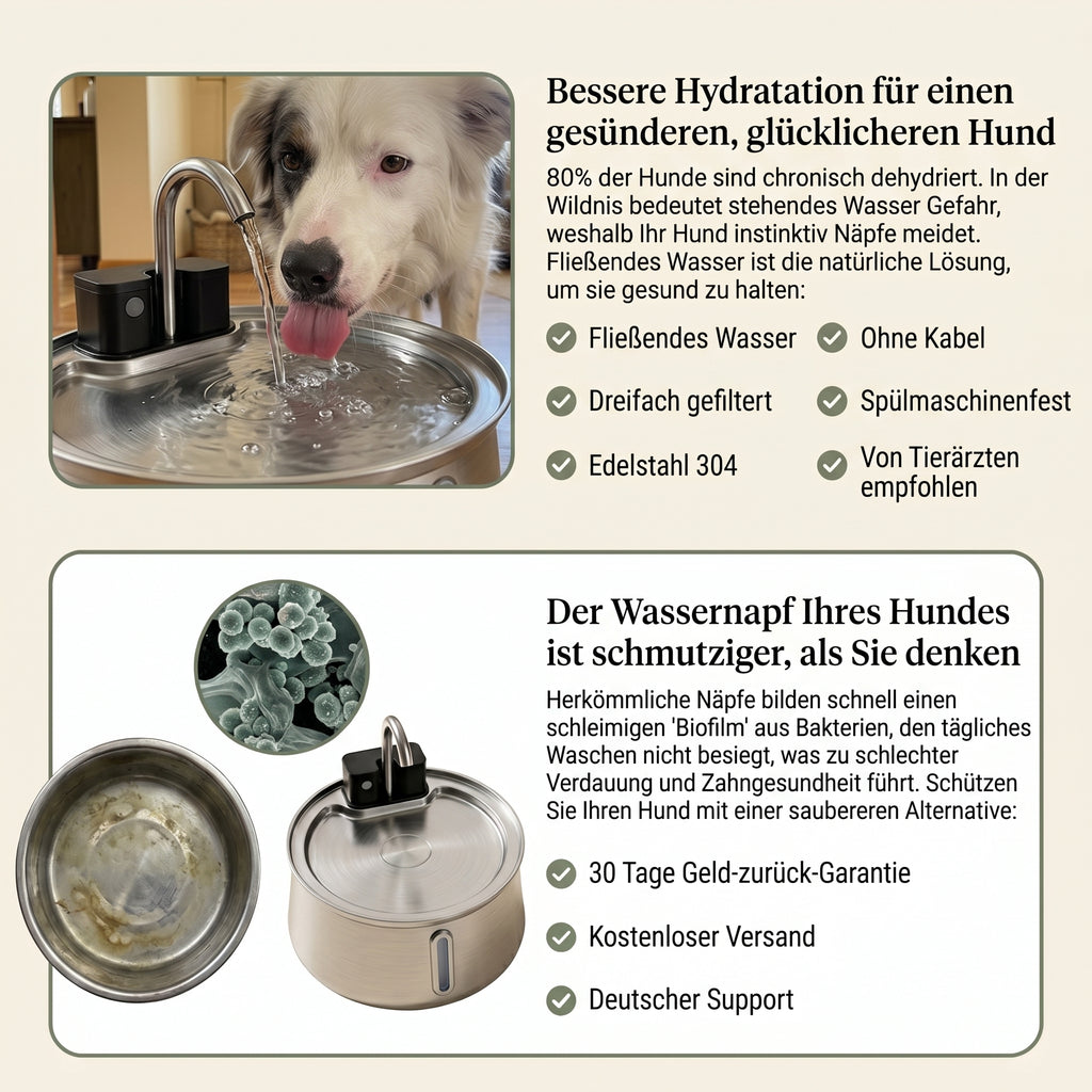 Sanftquelle – Trinkbrunnen für Hunde aus Edelstahl, kabellos
