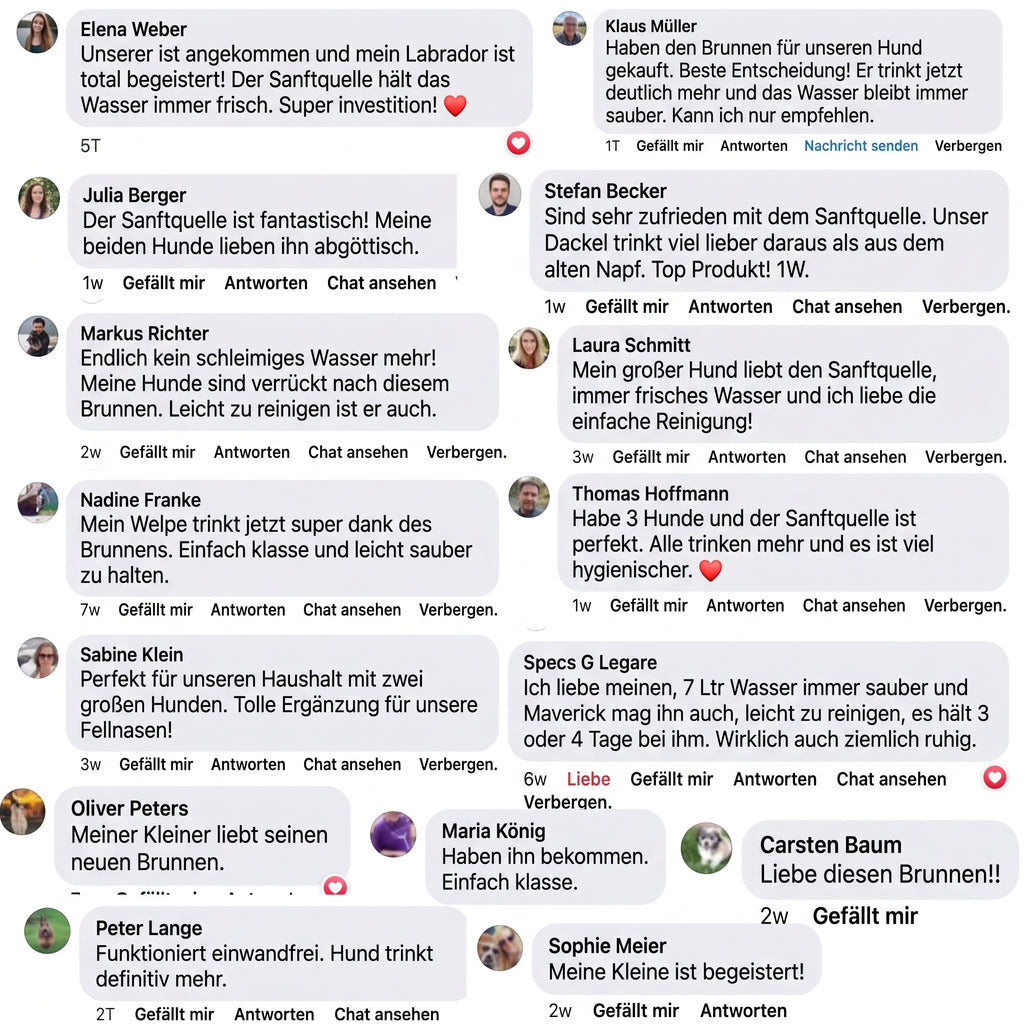 Sanftquelle – Trinkbrunnen für Hunde aus Edelstahl, kabellos