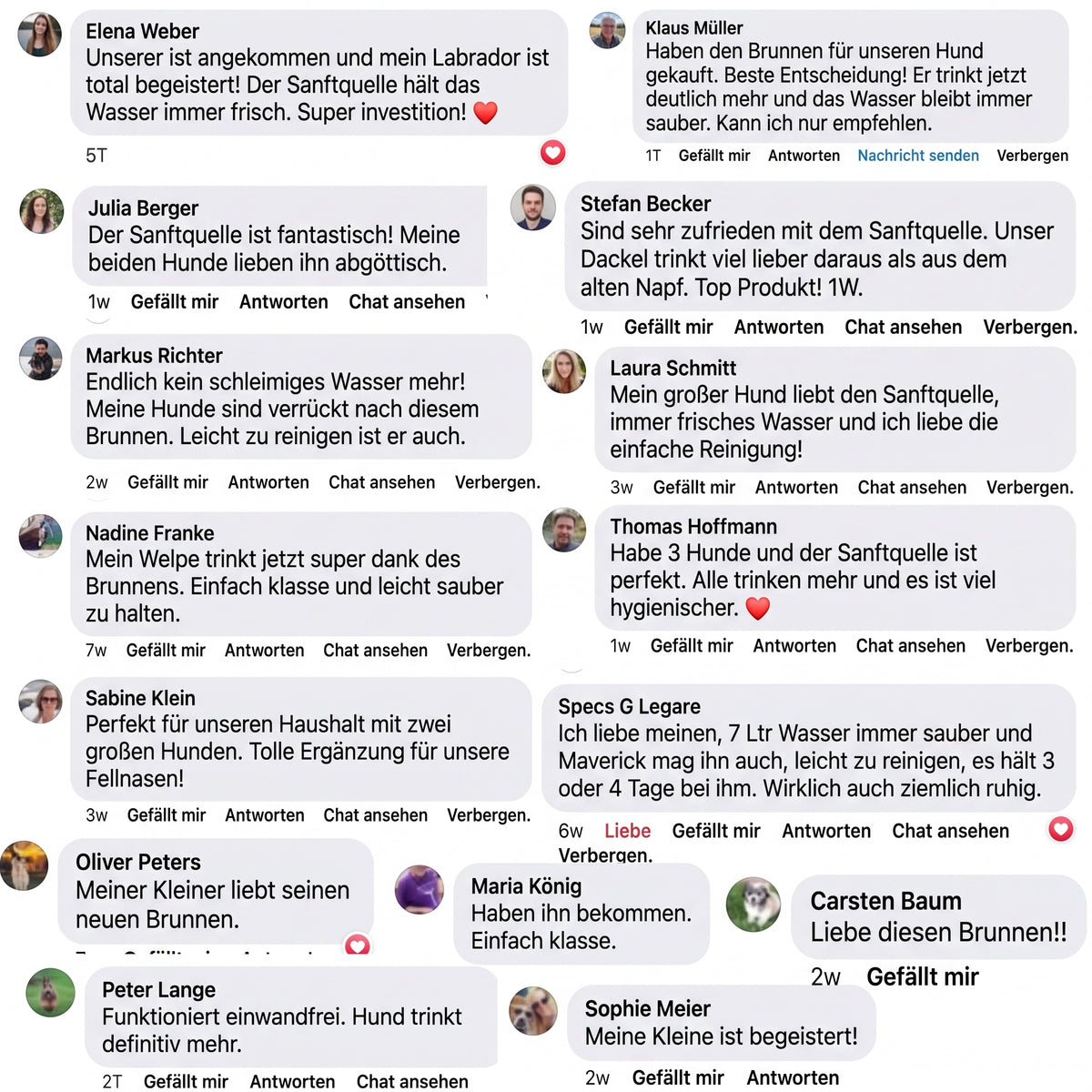 Sanftquelle – Trinkbrunnen für Hunde aus Edelstahl, kabellos