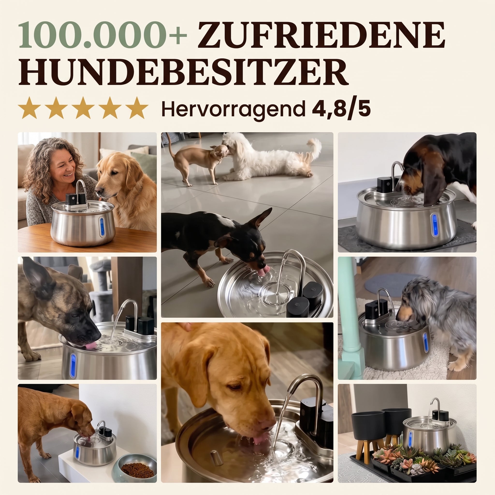 Sanftquelle – Trinkbrunnen für Hunde aus Edelstahl, kabellos